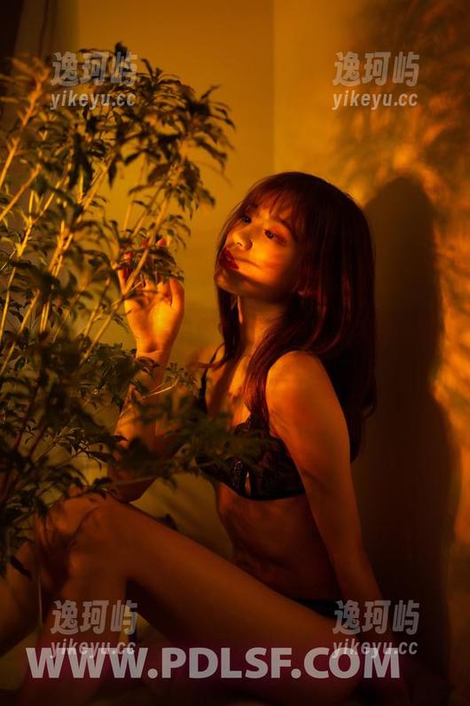 轰趴猫-梦心玥 轰趴猫 - 合集中偶尔迷失一瞬,梦心玥带来的夏天还有哪些层次?