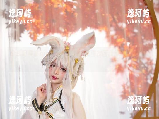 分享阿寨寨ninja甜心图包，试图找回我那颗受伤的心？